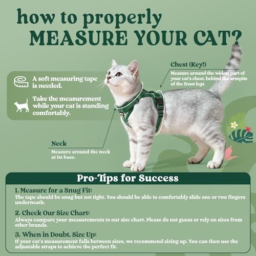 rabbitgoo Cat Harness and Leash Set, Escape Proof Vest, Rainforest Green