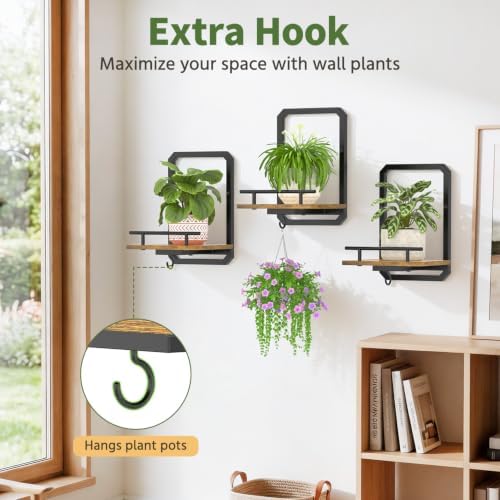 LASZOLA Plant Picture Frame Holder Shelf Wall Window Indoor