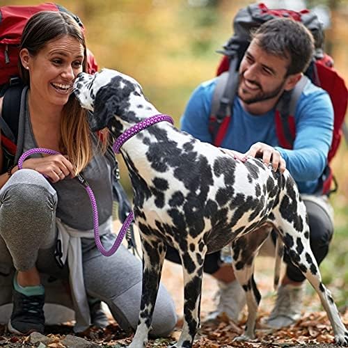 Fida Durable Slip Lead Dog Leash, 6 FT x 3/8" Dog Training Leash