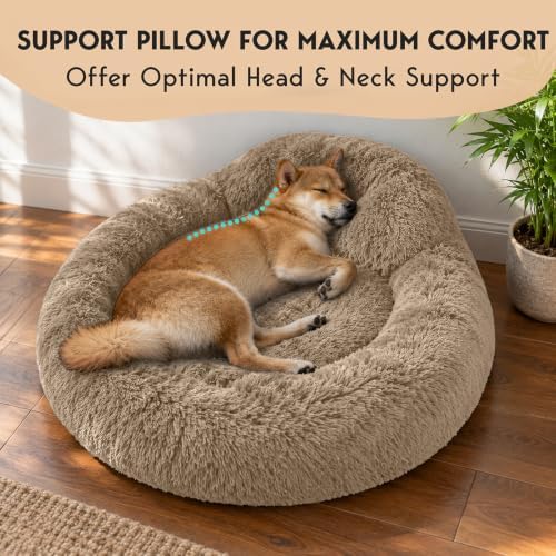 PetJett Calming Medium Dog Bed