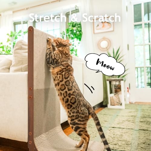 Necoichi Cardboard Cat Scratcher Wall