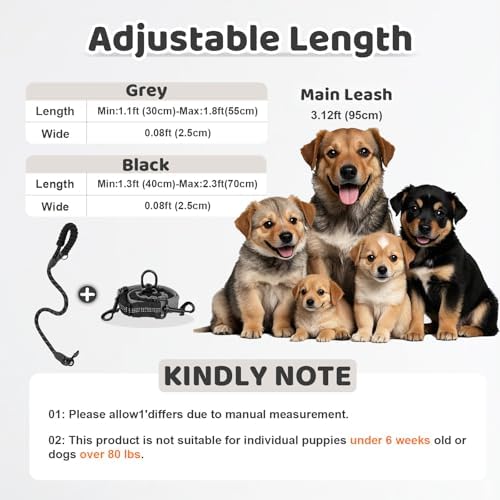 Double Dog Leash