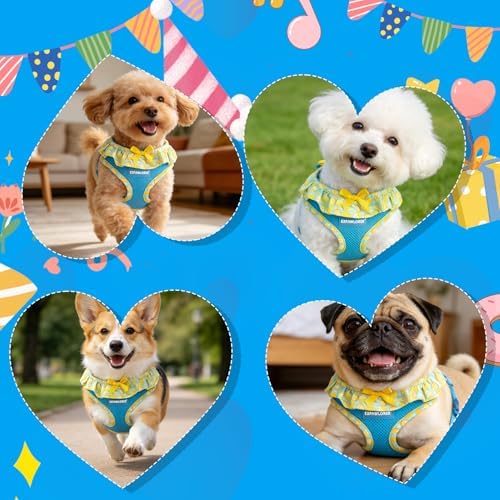 EXPAWLORER Step-in Dog Harness Small Sized and Leash Set