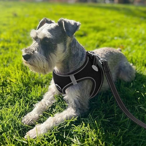 Joytale Step-in Dog Harness, Soft Breathable Mesh