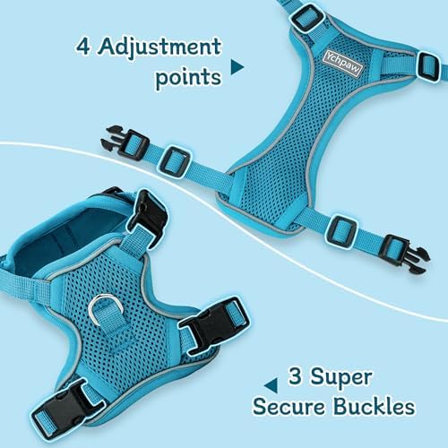 Small Dog Harness and Leash Set, Adjustable Small Sized Pet Vest