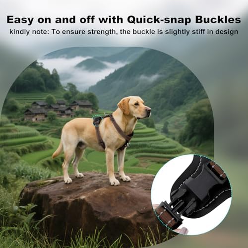 Plutus Pet No Pull Dog Harness