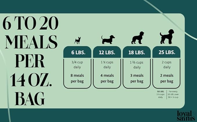 Freeze Dried Raw Dog Food - Premium Beef Flavor with High Protein and Grain Free Dog Food for Small or Large Breeds and Picky Eaters - Versatile as Meal Topper, Snack, and Treats, 14 Oz