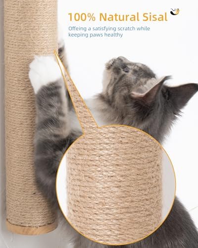 Aechonow 68" Wall Mounted Cat Scratcher