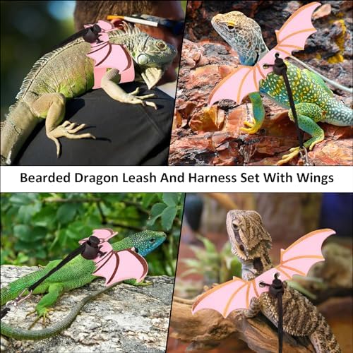Bearded Dragon Carriers and Leather Leash