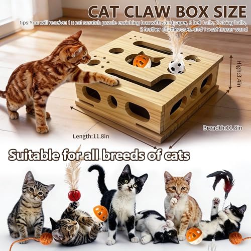 2026 New Model Cat Nail File Enrichment Box