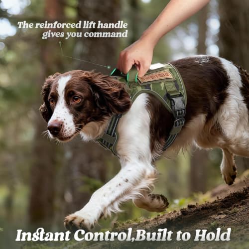 rabbitgoo Tactical Dog Harness for Small Dogs, No Pull Service Pet Vest