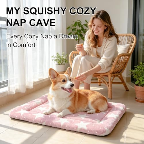 Dog Bed Mat, Reversible Crate Pad & Cute Dog Bed