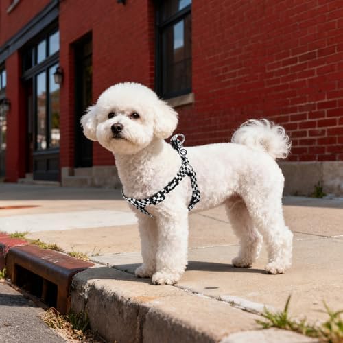 PUPTECK No Pull Dog Harness Small Sized Step-in Adjustable Puppy Vest