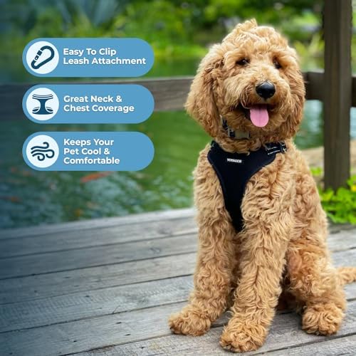 Voyager Step-in Flex Adjustable Dog Harness