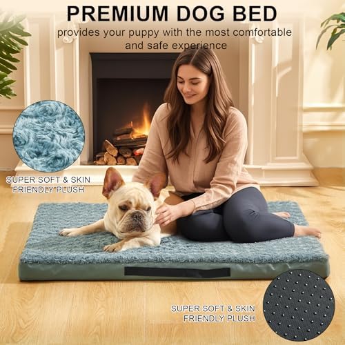 Orthopedic Dog Beds for Crate