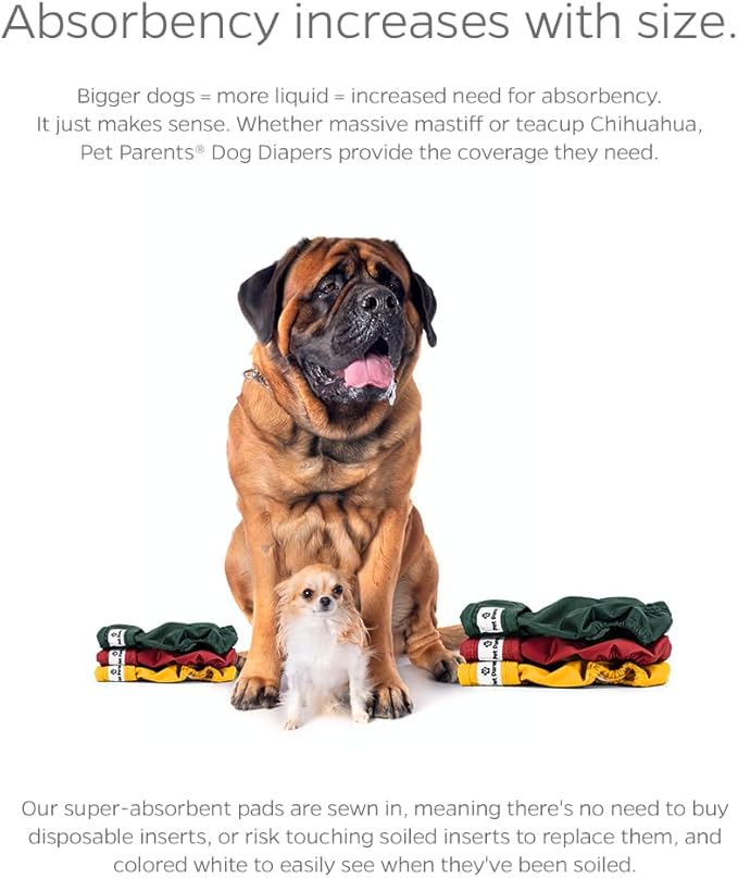 Pet Parents® Washable Dog Diapers (3pack) + Extendrs® of Durable Doggie Diapers, Premium Dog Diapers Female (Medium, Samba)