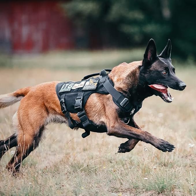 OneTigris No Pull Dog Harness for Small Dog, Mesh Design Breathable Military Dog Molle Vests with Handles, Service Dog Vest Harness for Walking Hiking Training