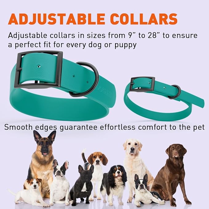 Dogline Biothane Waterproof Dog Collar Strong Coated Nylon Webbing with Black Hardware Odor- Proof for Easy Care Easy to Clean High Performance Fits Small Medium or Large Dogs, Blue Aqua