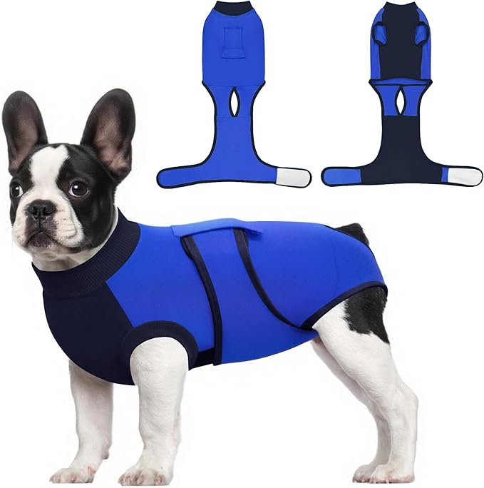 Idepet Dog Recovery Suit Female,Dogs Onesie Suit Surgery Male Breathable Pet Bodysuit for Spay Neuter E-Collar & Cone Alternative Surgical Suit Puppy Abdominal Anti Licking Wounds Shirt (Blue, M)