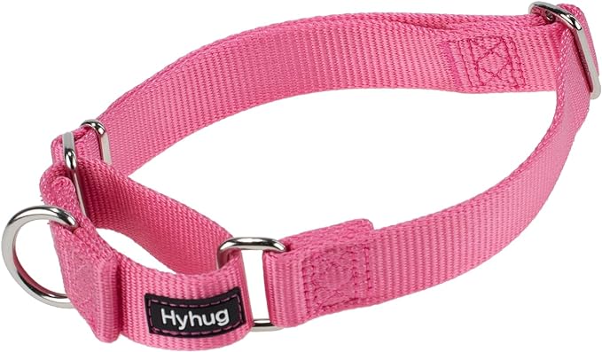 Hyhug Improved Design Nylon Webbing, Cold Water Washing Does Not Fade, Not Polluting Dog Hair, Wear Resistant and Not Prone to Fuzzing. No Slip Training Martingale Collar. (Candy Pink, Large)