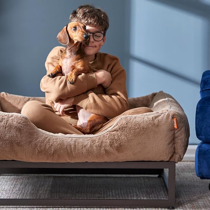FUZI Luxury Aesthetic Dog Bed with Extra Cover for Small Dogs, Washable Pet Couch, Pet Bed with Sides, Non-Slip Bottom, Soft & Durable Calming Dog Bed, Faux Rabbit Fur, Small 25.1x16.75x9.5 Soft White