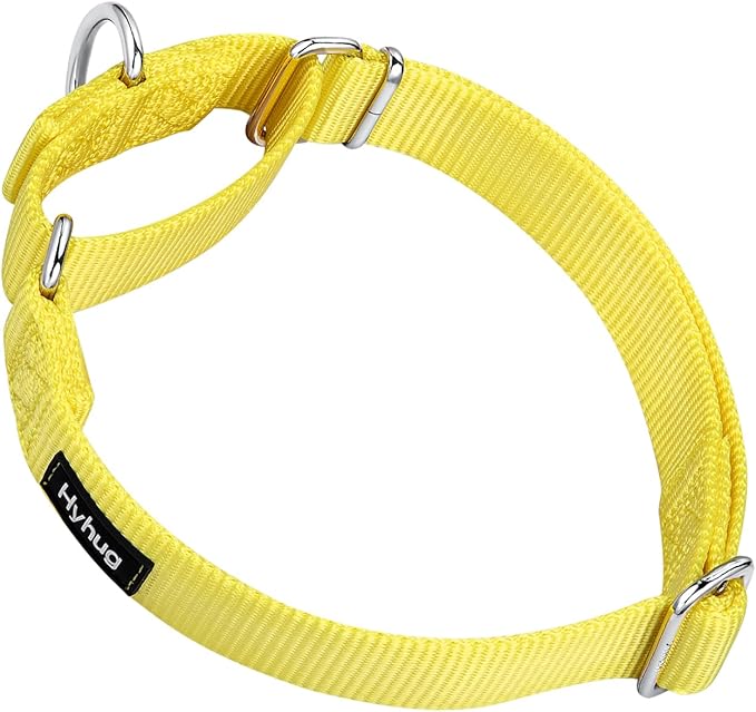 Hyhug Pets Premium Upgraded Heavy Duty Nylon Anti-Escape Martingale Collar for Boy and Girl Dogs Comfy and Safe - Professional Training, Daily Use Walking. (Large, Illuminating Yellow)
