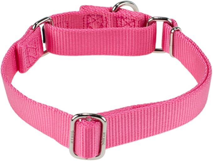 Hyhug Improved Design Nylon Webbing, Cold Water Washing Does Not Fade, Not Polluting Dog Hair, Wear Resistant and Not Prone to Fuzzing. No Slip Training Martingale Collar. (Candy Pink, Large)
