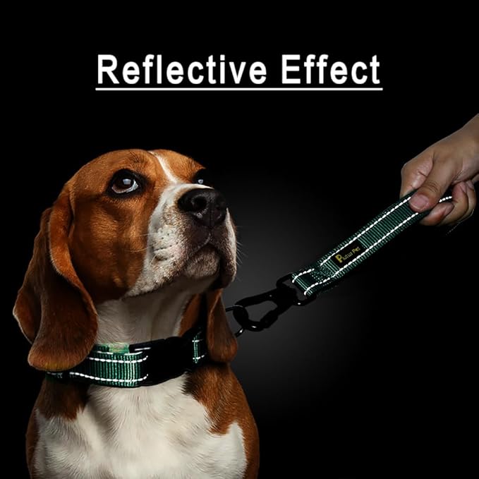 PLUTUS PET Short Dog Leash, Reflective Nylon Padded Handle, Strong Traffic Leash with Carabiner Clip, Perfect for Large or Medium Dogs (10”，Teal)