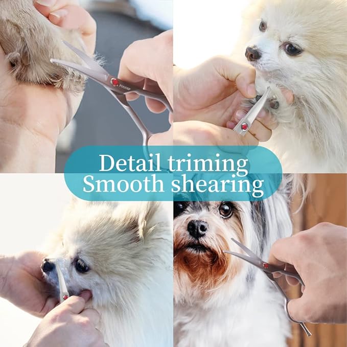 4.5" Curved Dog Scissors for Grooming Face and Paws with Safety Round Tip for Small Dogs Face Paw Ears Trimmer Professional Small Cat Grooming Shears (4.5" Curved, Gray)