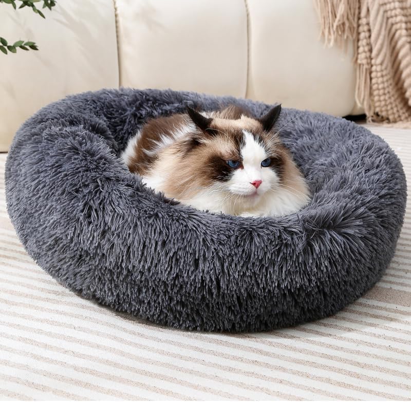 Kitten Bed Small Dog Bed Mini Indoor Bed