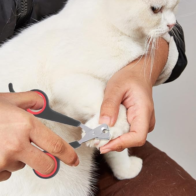 Cat Nail Clipper, Cat Nail Trimmers Cat Claw Clippers Small Dog Nail Clippers Bird Nail Scissors Stainless Steel Parrot Cage Essential Grooming Accessory for Small Animals Ferrets Bunny Rabbit Puppy
