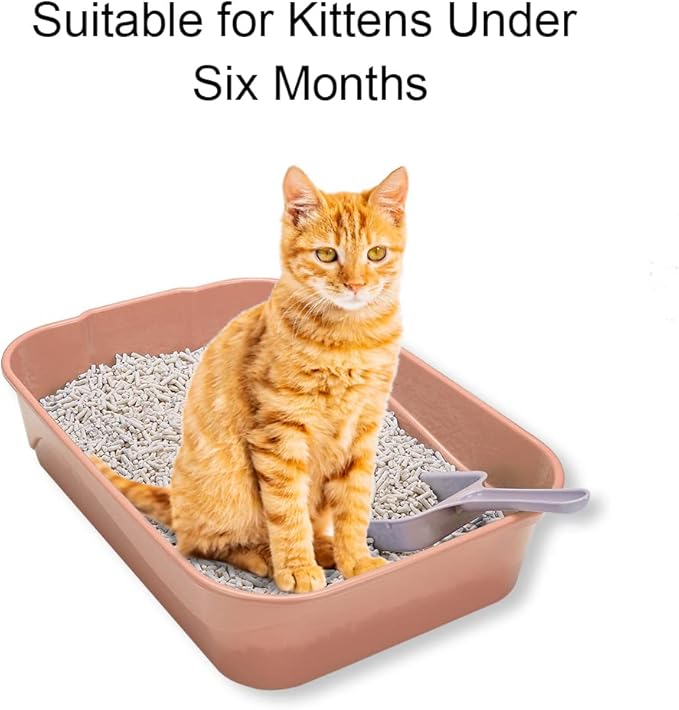 Kitty Litter Box Starter Kit - Small Cat Litter Pan Without Lid, Litter Mat, Scoop and Bowl for Kitten Within 3 Months (PinkScoop Set)