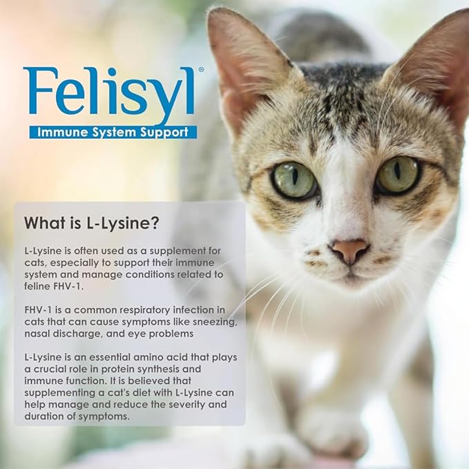 L-Lysine Gel for Cats (5oz) – Supports Immune, Respiratory, and Eye Health. Eases Sneezing, Runny Nose, and Watery Eyes. Tasty Salmon Flavor - Made in The USA (6 Pack)