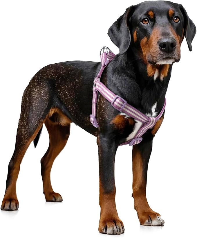 Stripe Step in Dog Harness for Small Dogs, Freedom Nylon Dog Halter Vests, Lightweight and Escape Proof Puppy Harness, Quick Fits for Small Medium and Large Dogs, Purple S