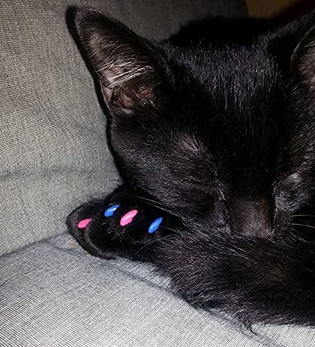 40 Pack Soft Nail Caps for Cat Claws Soft Pink Small