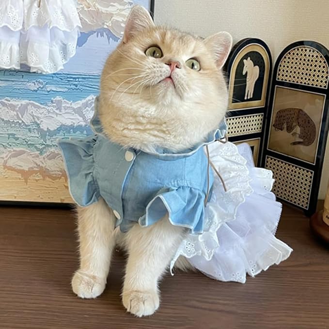 Girl Dog Denim Dress with Flared Sleeves Dog Jeans Jacket Blue White Puppy Clothes for Small Dogs Cat Apparel Cake Skirt Pet Outfit (Blue, X-Large)