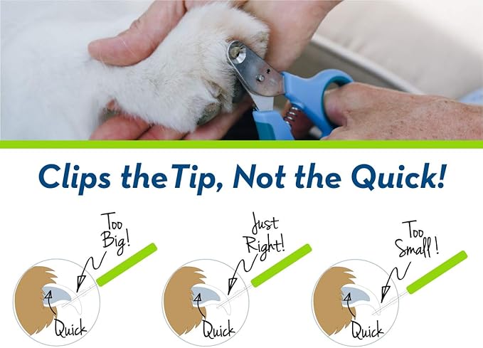 Zen Clipper Pet Nail Clipper for Dogs – Dog Nail Trimmer for Safer Pet Grooming Care - Clean, Quiet, and Easy-to-Use Stainless Steel Claw Trimmer - (4mm Hole)