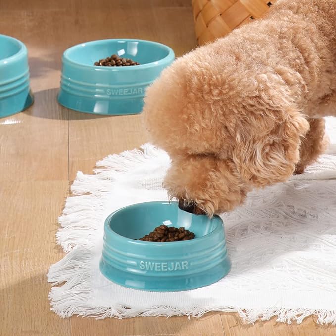 Sweejar Gradient Dog Bowl, Ceramic Dog Food Dish for Medium Dogs and Cat, Porcelain Pet Bowl for Food and Water 18 oz (Gradient Blue)