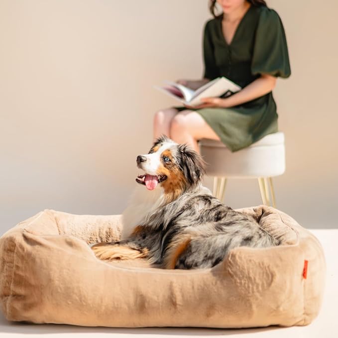 FUZI Luxury Aesthetic Dog Bed for Small Dogs with Washable Cover, Pet Couch, Pet Bed with Sides, Non-Slip Bottom, Soft and Durable Calming Dog Bed, Faux Rabbit Fur, Small 25.1x16.75x9.5 Light Brown