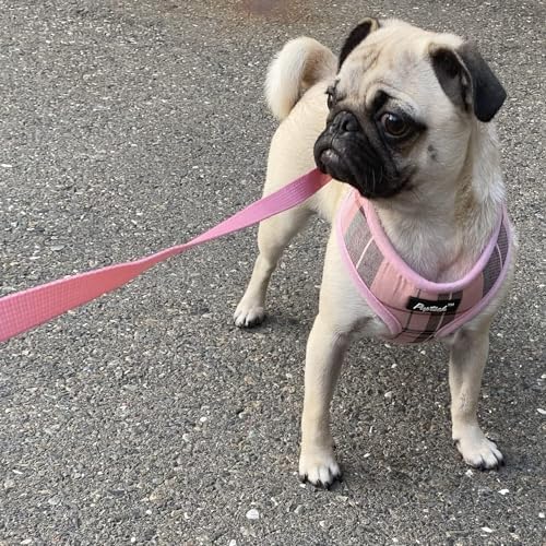 PUPTECK Small Dog Harness and Leash Set No Pull