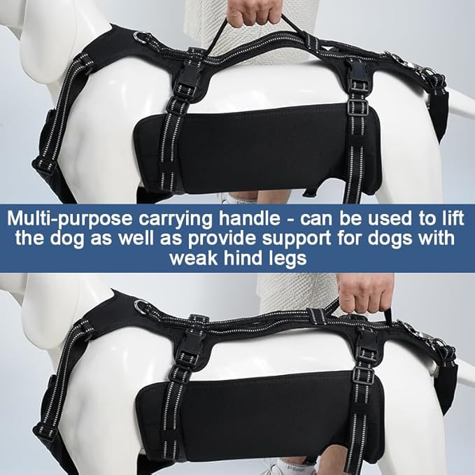 Coodeo Dog Lift Harness, Support & Recovery Sling, Pet Rehabilitation Lifts Vest Adjustable Breathable Straps for Old, Disabled, Joint Injuries, Arthritis, Paralysis Dogs Walk (Black,M)