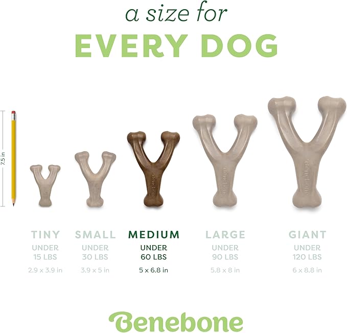 Benebone Wishbone Durable Dog Chew Toy for Aggressive Chewers, Real Chicken, Made in USA, Medium, for All Breed Sizes