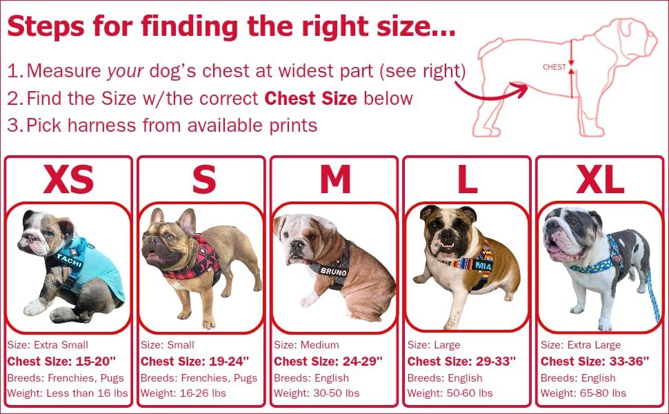 BULLHUG Adjustable Dog Harness– No Pull, No Choke –
