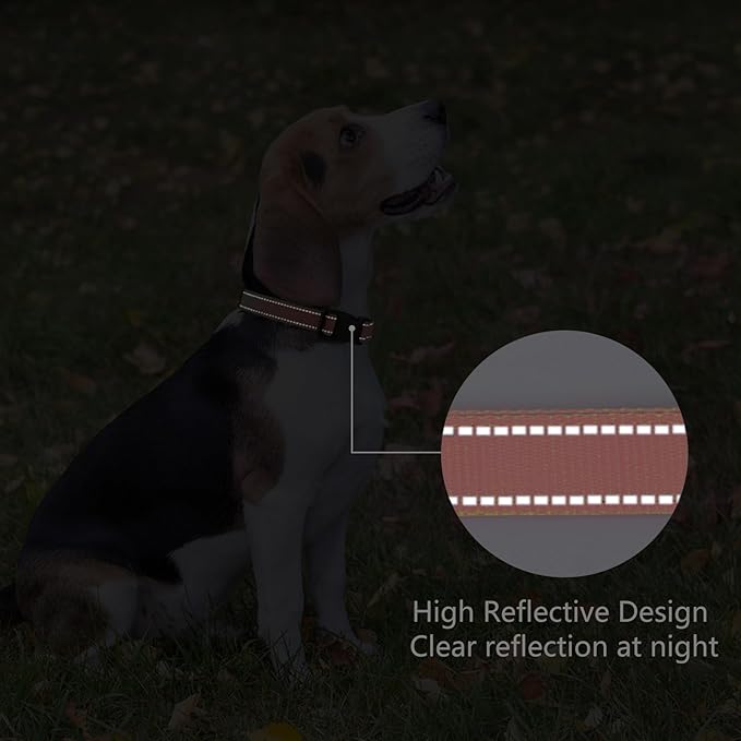 Reflective Dog Collar Padded with Soft Neoprene Breathable Quick Release Basic Dog Collars for Puppy Small Dogs Coral