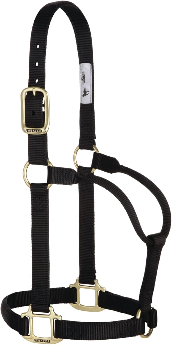 Weaver Equine Nylon Horse Halter, Triple-Ply Cheek Design, Original Non Adjustable Halters for Horses, Equine Tack,Average Size, Black