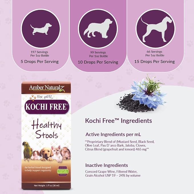 Amber NaturalZ Kochi Free Herbal Supplement for Dogs, Cats, Birds, Guinea Pigs, and Rabbits | Pet Herbal Supplement for Healthy Stool Support | 1 Fluid Ounce Glass Bottle | Manufactured in The USA