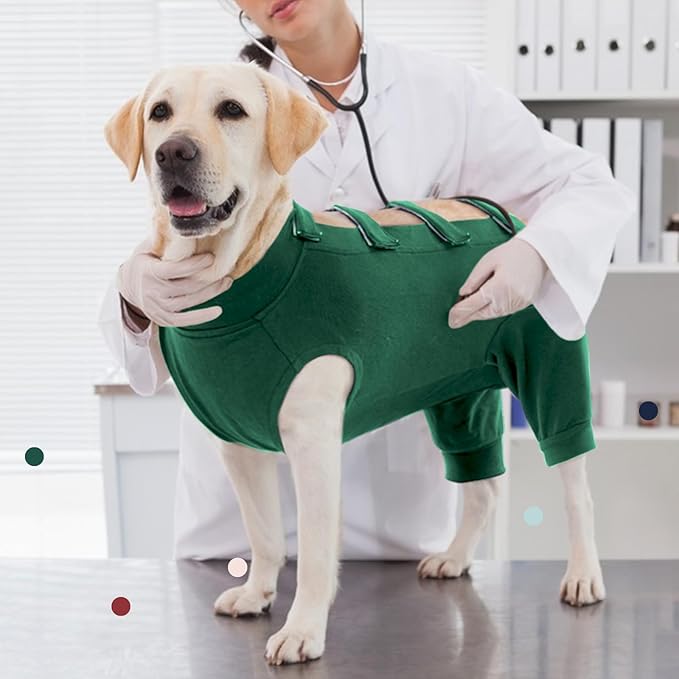 IECOii Dog Onesie for Surgery,Dog Surgery Suit Female Spay Recovery Suit for Medium Size Dog,Dog Recovery Suit Male Pet Abdominal Anti Licking Shirt,Dog Bodysuit Alternative to Cone E-Collar,M-Green