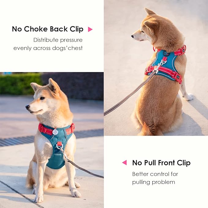 PHOEPET No Pull Dog Harness, Unique Colors Reflective Adjustable Dog Vest, with Soft Training Handle Metal Clips for Small Medium Large Dogs (Teal Base & Red Straps,XS)