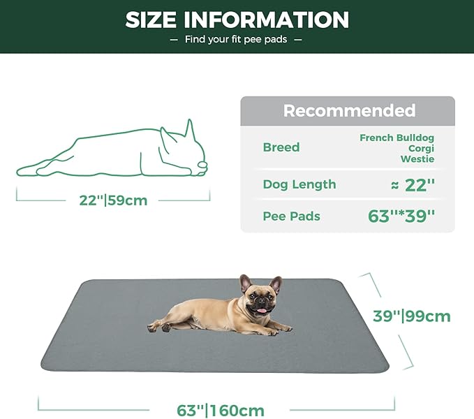 FXW Washable Pee Pads for Dogs, Puppy Pads with Super Absorbent, Specifically Designed for FXW Rollick/Homeplus 24inch 6 Panels Dog Playpen, 63" × 39" Rectangle, Gray, 1 Pack
