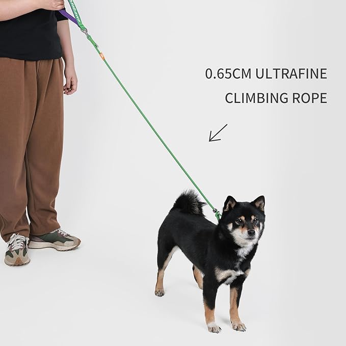 Dog Anti-Slip Leash 5FT with Metal Stopper - Durable No-Pull Training Lead for Small, Medium & Large Dogs - Comfortable Handle Nylon Rope, Tangle-Free Pet Walking Leash (Green, 5.6FT)